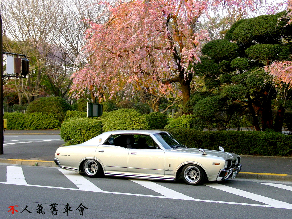 330-wp-sakura.jpg